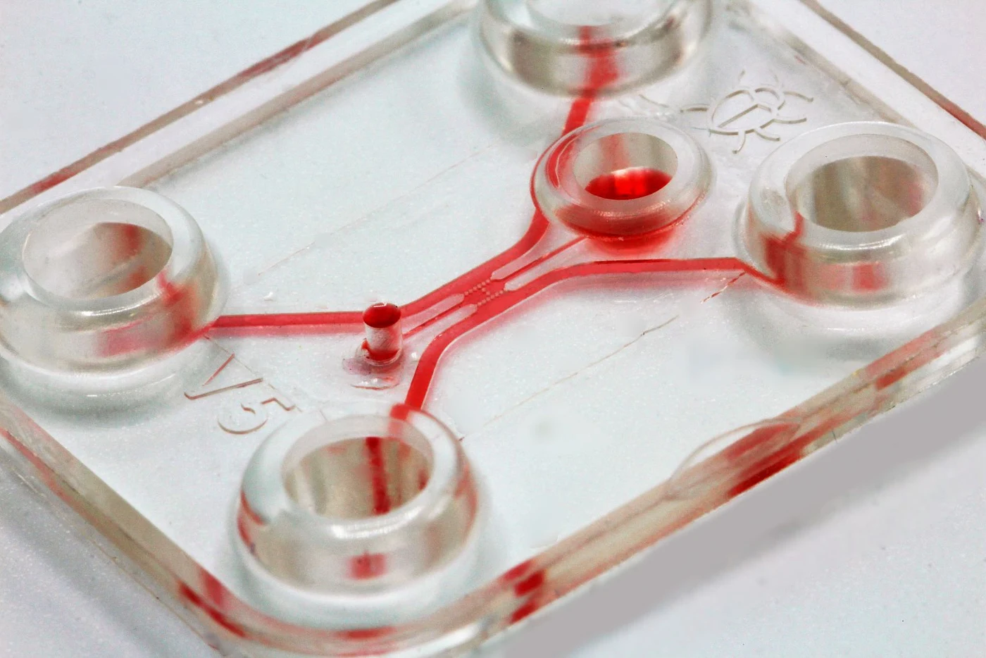 Organoid-on-chip microfluidic device — CEA