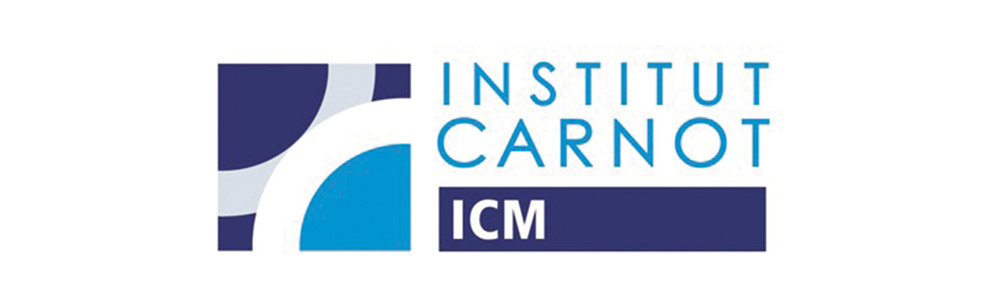Paris Brain Institute logo