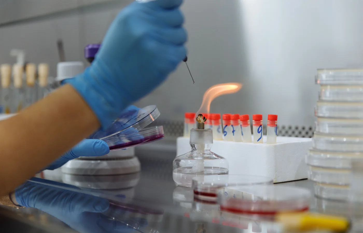 Validate a target